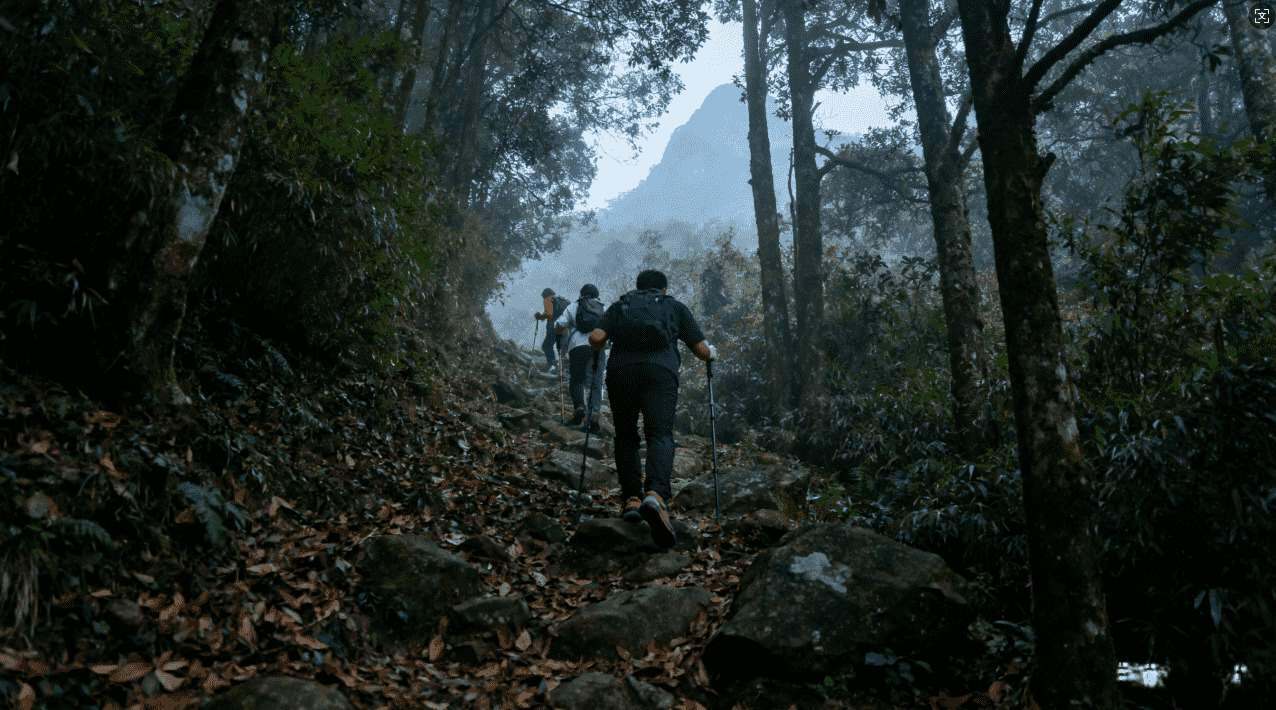 探秘苹果的蚂蚁加速器功能与优化技巧